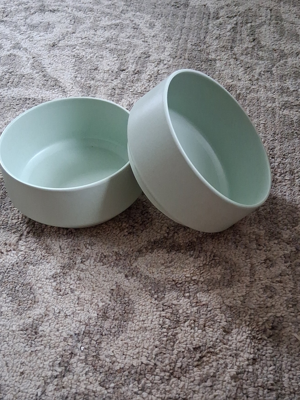 Boots & Barkley Light Green Bamboo Melamine Pwt Bowls Set Of 2